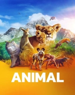 Animal temporada 1