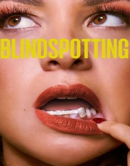 Blindspotting temporada 1