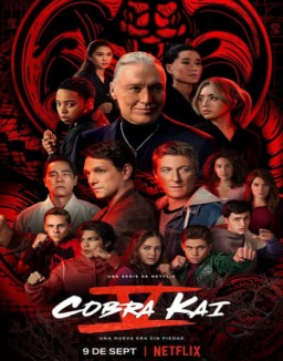 Cobra Kai temporada 1