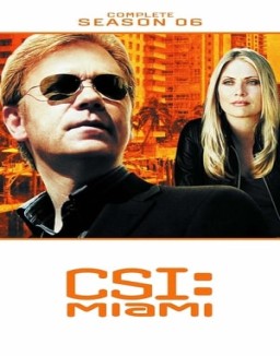 CSI: Miami temporada 6