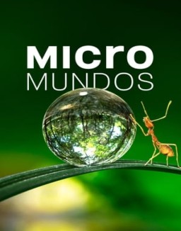 Micromundos temporada 1